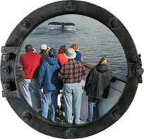 Whalewatching